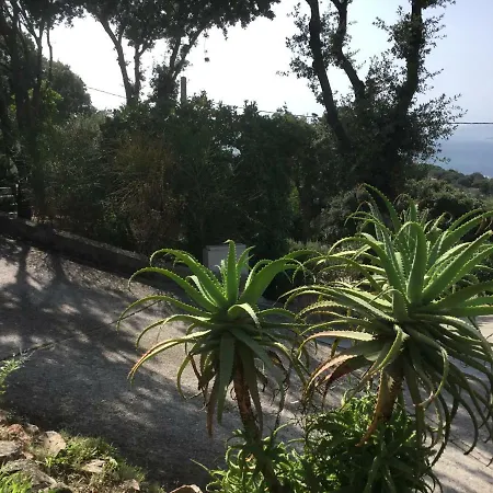 Residence Ile De Beaute Propriano  Exterior photo