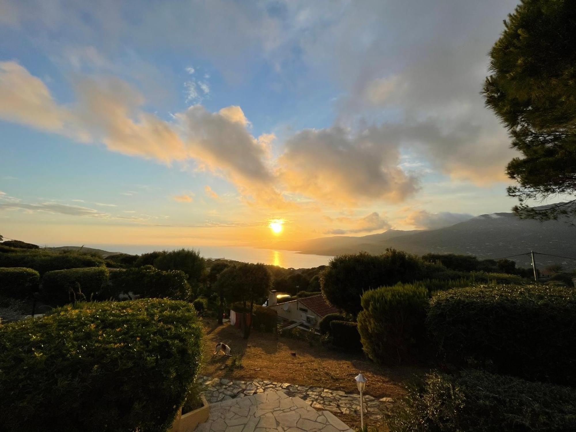 Ile De Beaute