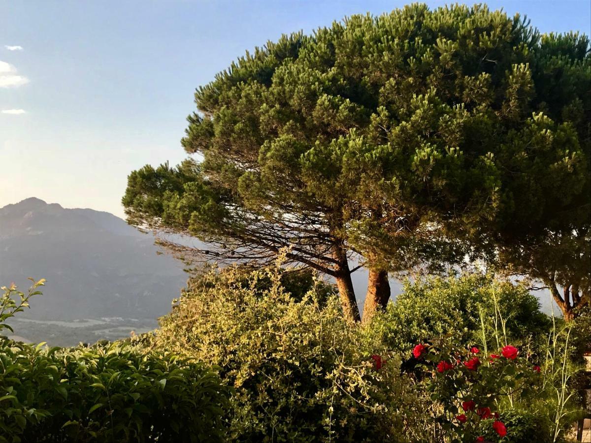 Ferienhaus Ile De Beaute Propriano (Corsica)