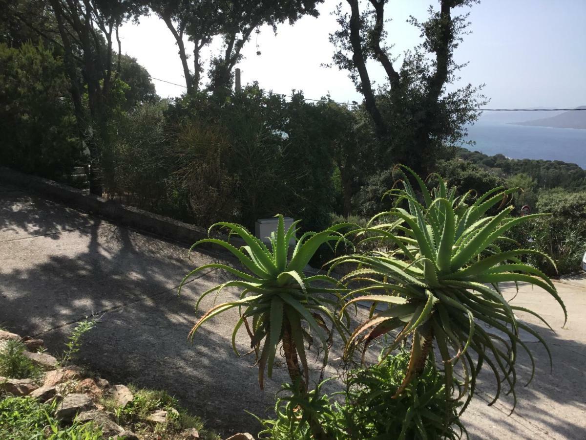 Ferienhaus Ile De Beaute Propriano (Corsica)