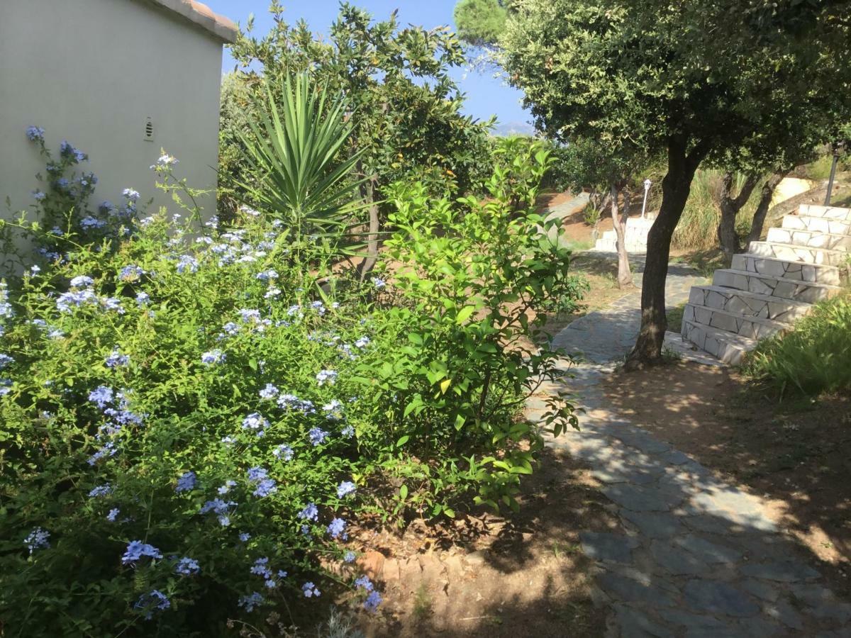 Ile De Beaute Ferienhaus *