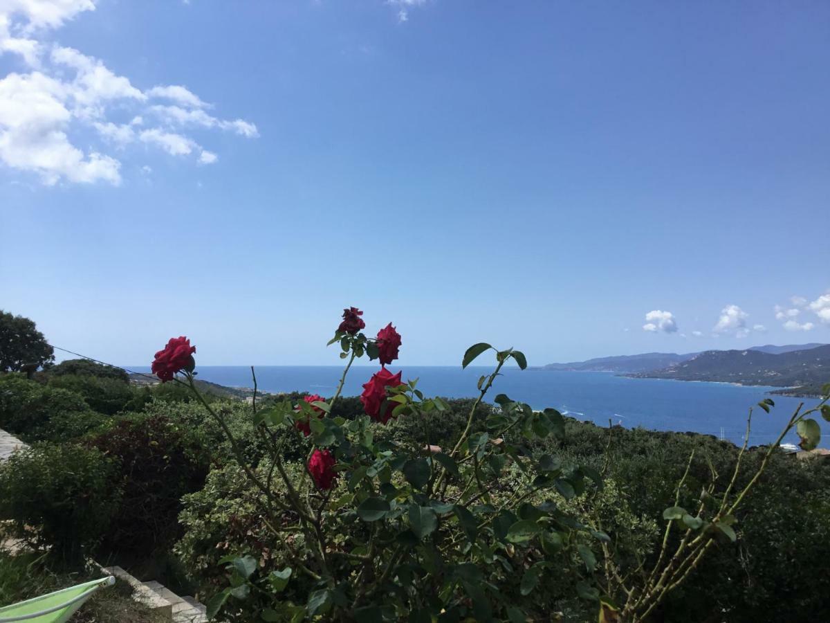 Ile De Beaute * Propriano (Corsica)