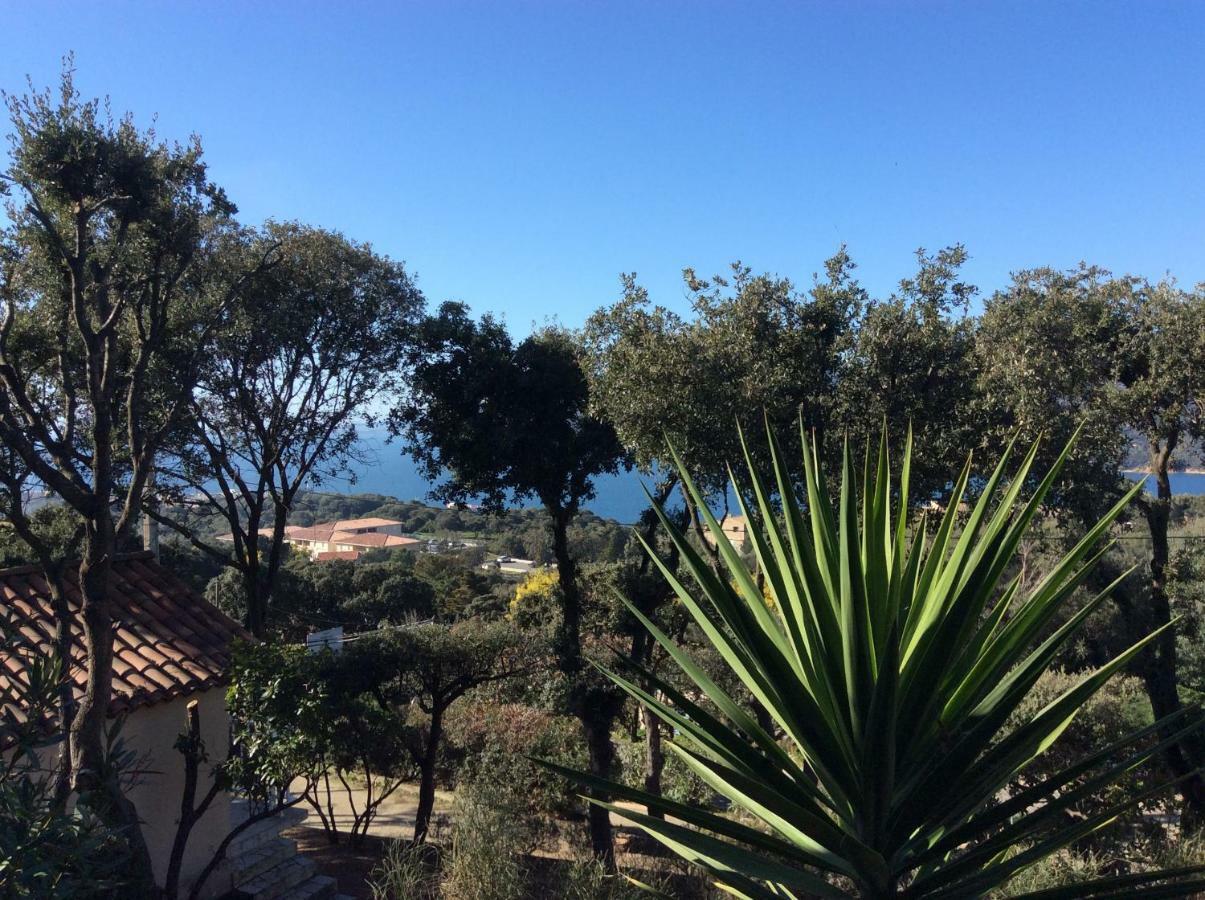 Ile De Beaute * Propriano (Corsica)